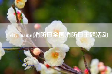 宁国消防日全国消防日主题活动