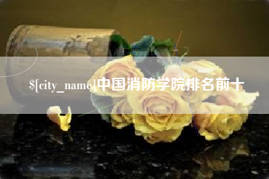宁国中国消防学院排名前十