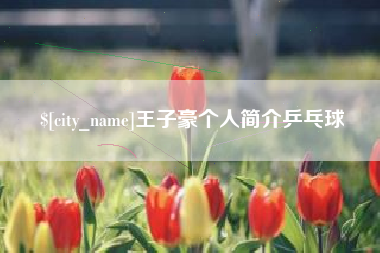 宁国王子豪个人简介乒乓球