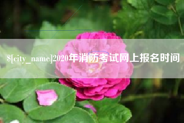 宁国2020年消防考试网上报名时间