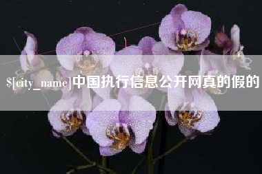 宁国中国执行信息公开网真的假的