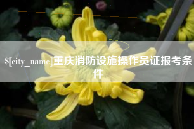 宁国重庆消防设施操作员证报考条件