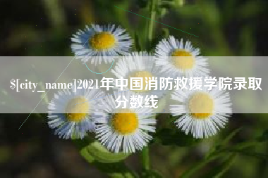 宁国2021年中国消防救援学院录取分数线