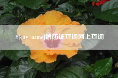 宁国消防证查询网上查询