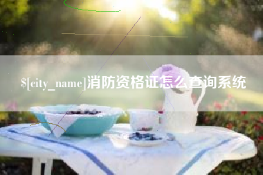 宁国消防资格证怎么查询系统