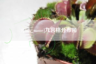 宁国九宫格分布图