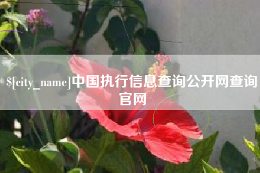 宁国中国执行信息查询公开网查询官网
