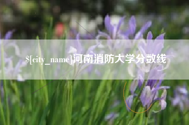 宁国河南消防大学分数线
