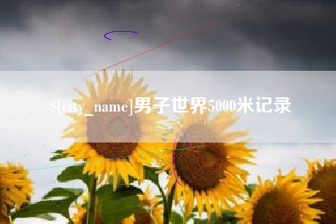 宁国男子世界5000米记录