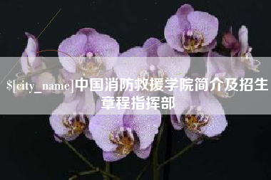宁国中国消防救援学院简介及招生章程指挥部