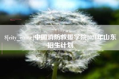 宁国中国消防救援学院2021年山东招生计划
