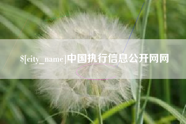 宁国中国执行信息公开网网