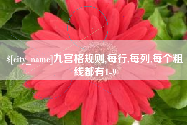 宁国九宫格规则,每行,每列,每个粗线都有1-9