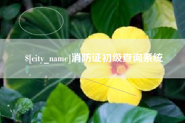 宁国消防证初级查询系统