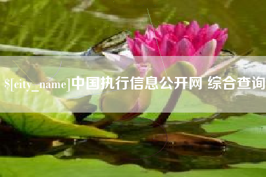 宁国中国执行信息公开网 综合查询