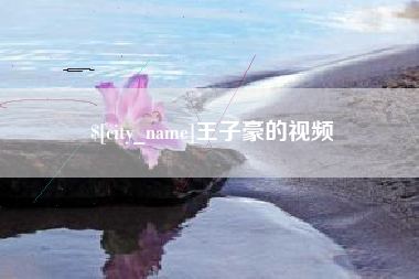 宁国王子豪的视频