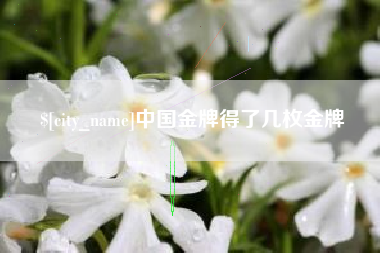 宁国中国金牌得了几枚金牌