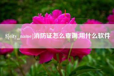 宁国消防证怎么查询,用什么软件