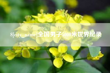 宁国全国男子5000米世界纪录