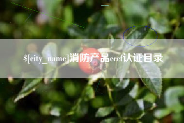 宁国消防产品cccf认证目录