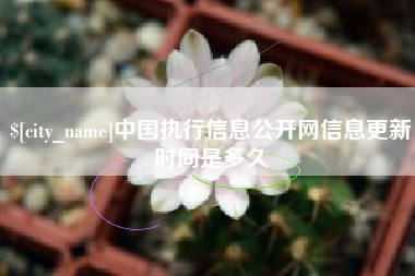 宁国中国执行信息公开网信息更新时间是多久