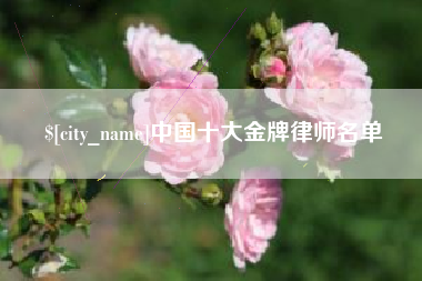 宁国中国十大金牌律师名单