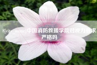 宁国中国消防救援学院对视力要求严格吗