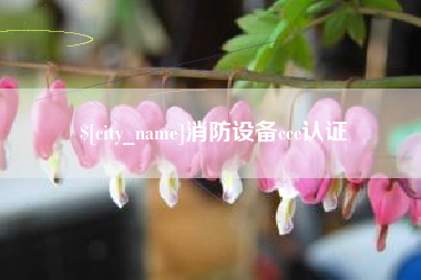 宁国消防设备ccc认证