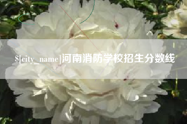 宁国河南消防学校招生分数线