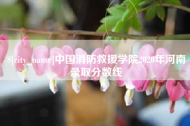 宁国中国消防救援学院2020年河南录取分数线