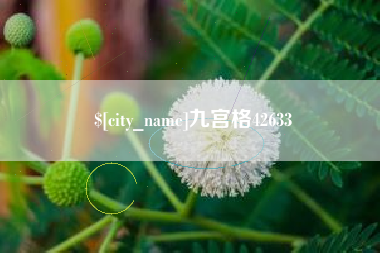 宁国九宫格42633