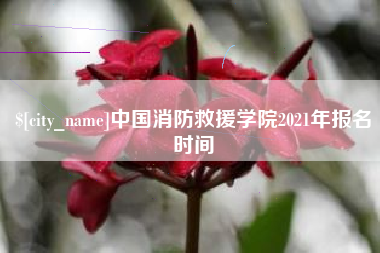 宁国中国消防救援学院2021年报名时间