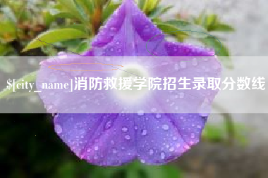 宁国消防救援学院招生录取分数线