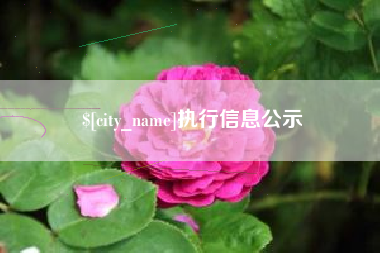 宁国执行信息公示