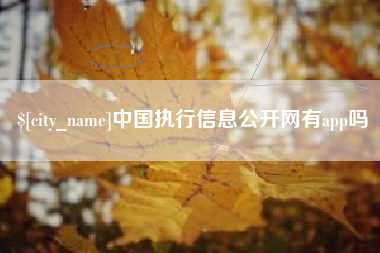 宁国中国执行信息公开网有app吗