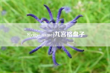 宁国九宫格盘子