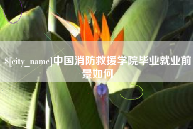 宁国中国消防救援学院毕业就业前景如何