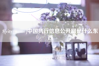 宁国中国执行信息公开网是什么东西