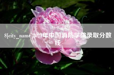 宁国2021年中国消防学院录取分数线