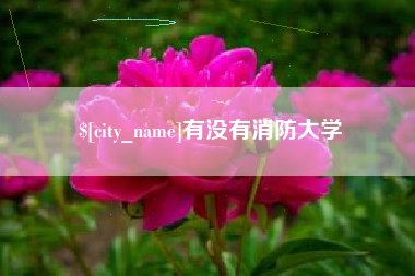 宁国有没有消防大学