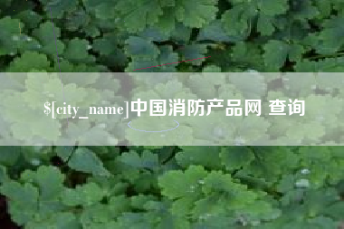 宁国中国消防产品网 查询