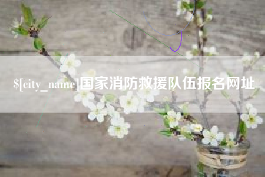 宁国国家消防救援队伍报名网址