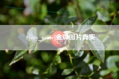 宁国金牌图片真实