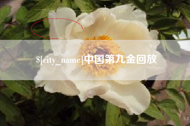 宁国中国第九金回放