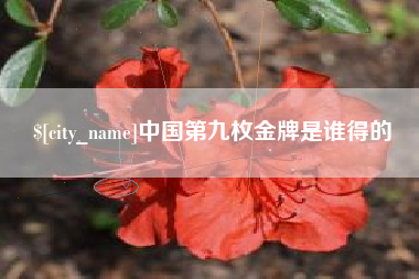 宁国中国第九枚金牌是谁得的