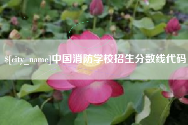 宁国中国消防学校招生分数线代码