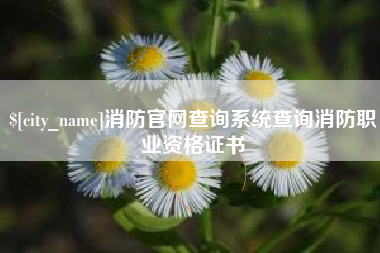 宁国消防官网查询系统查询消防职业资格证书