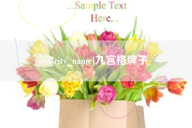宁国九宫格牌子