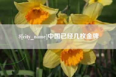 宁国中国已经几枚金牌