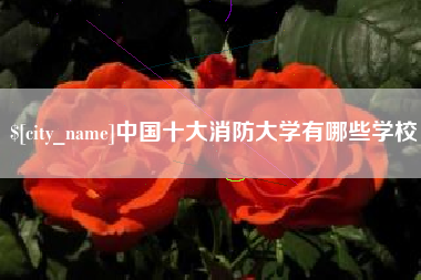宁国中国十大消防大学有哪些学校